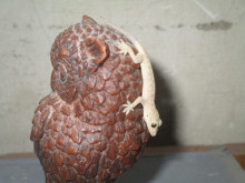 Lizard Chilling on my Wooden Owl
