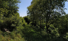 Where I've been
