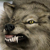 Thewolf2008 avatar