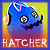 Hatchy avatar