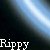 Rippy avatar