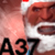 abominable37 avatar