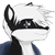 Thunder Skunk avatar