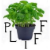 Planty avatar