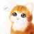 Painted Cat avatar