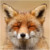 Fax-Fox avatar