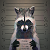 Raccoom avatar
