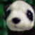 PandaHexCode avatar