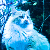 C_cat avatar