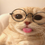 catsoup avatar