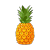 A Pineapple avatar