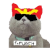 Captain kitty cat avatar
