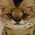 Fox_ avatar