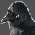 crowmancer avatar