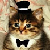 BlingFNF avatar