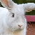 FunkyBunny avatar