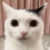 A_quaa avatar