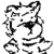 Sock Tiger avatar