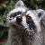 Plum_54 avatar