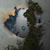 BluNate avatar