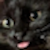 cocacolacat avatar