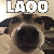 SaladLaoo avatar