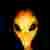 whotookrio avatar
