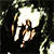 Mokila avatar