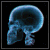 X RaY avatar