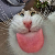 Mr. Sasha avatar