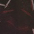 javwav avatar