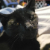 Jameriquiah avatar
