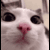 Sowen2 avatar