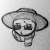 _fregnub avatar