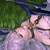 The5thTear avatar
