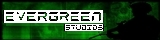 Evergreen Studios Flag