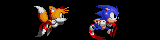 Team Sonic 2 Expanded Flag
