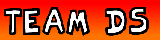 Team DS Flag