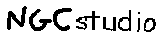 NGCstudio Flag