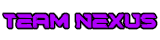 Team Nexus Flag