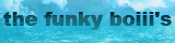 the funky boiii's Flag