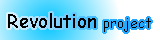 Revolution Project Flag