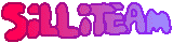 SilliTeam Flag