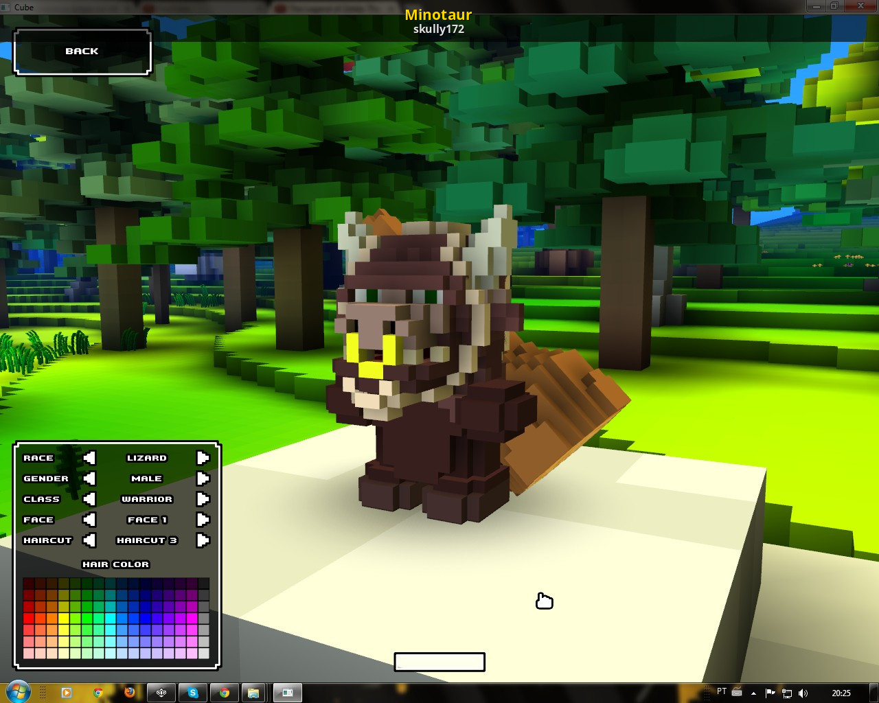 Cubeworld pro