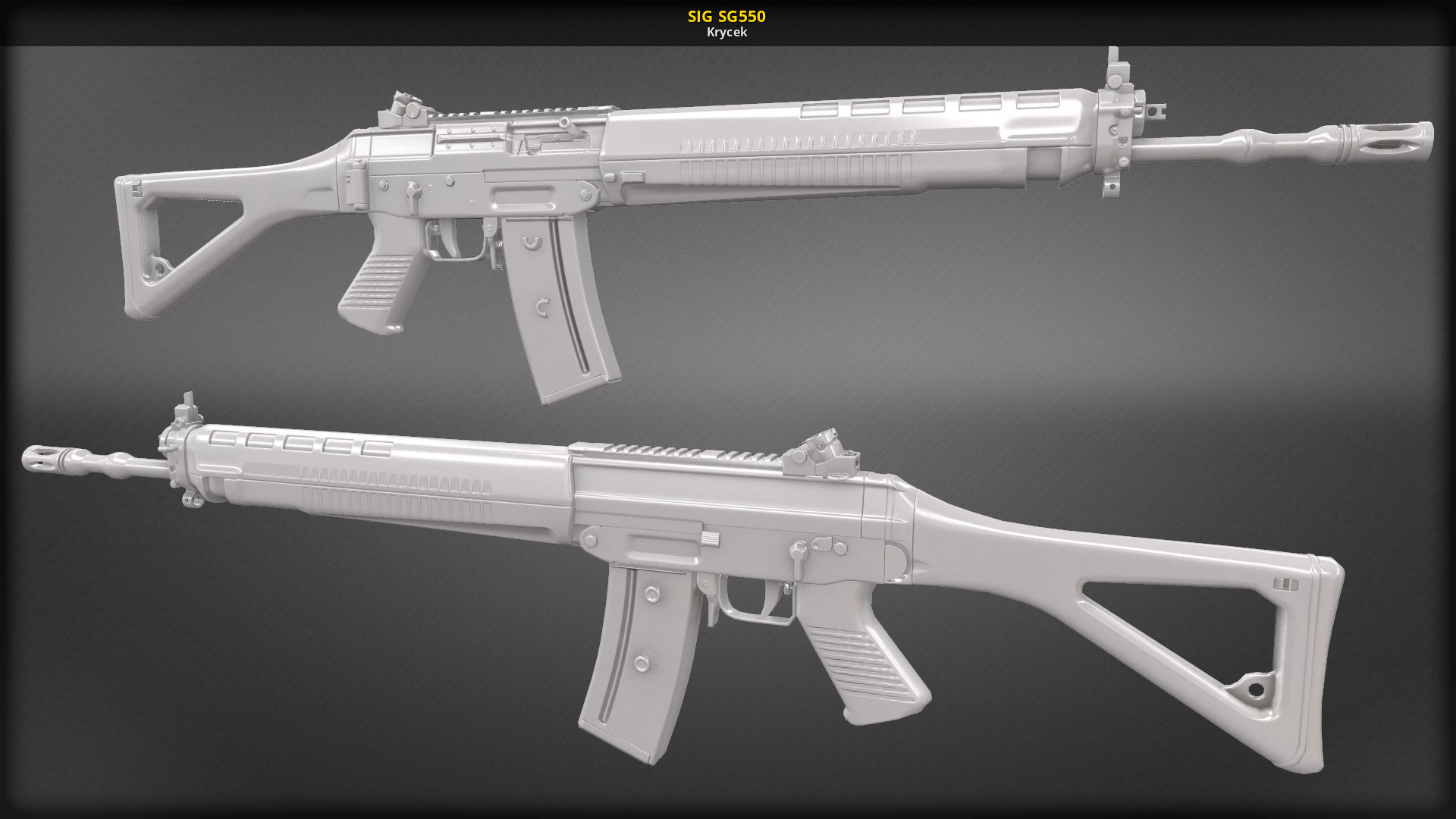 Sig d. Sig SG 550. Автомат sig sg550. Sig SG 550 SR. Sig SG 550/Stgw 90.