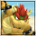 Bowser category icon