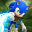 Sonic Boom: Rise of Lyric icon