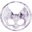 Ratchet & Clank: Rift Apart (PC) icon