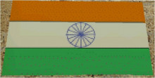 Indian Flag [Tag Spray]