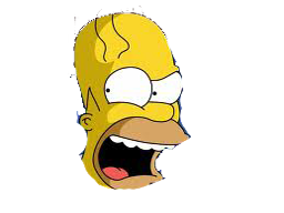 The Insane Homer